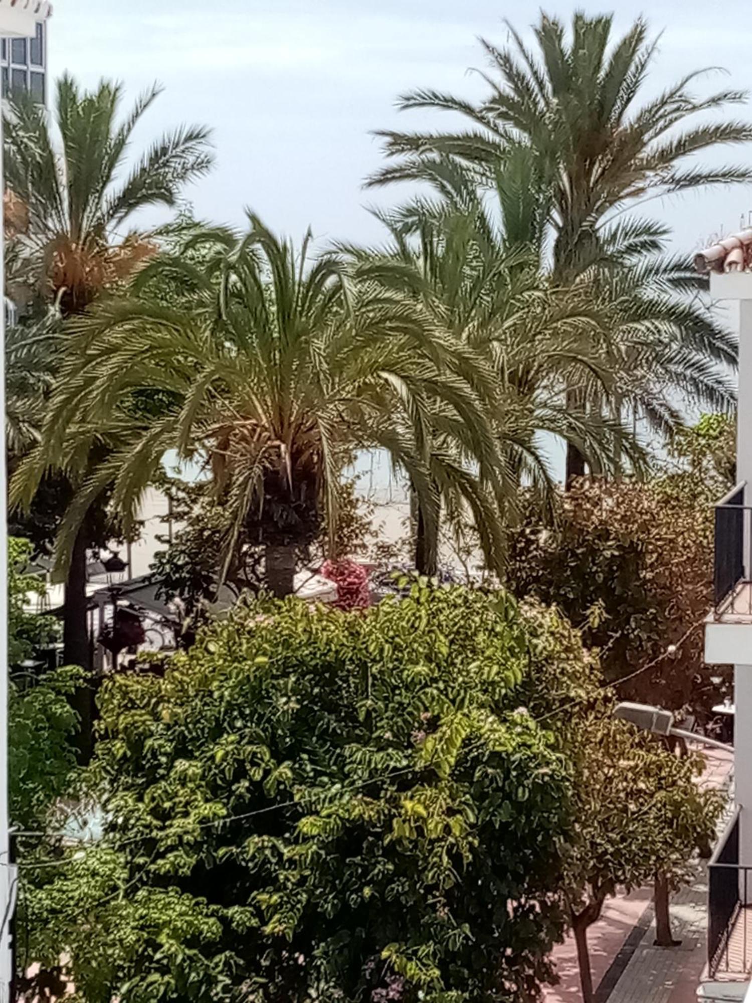 Beach Apartments Old Town Estepona Exterior photo